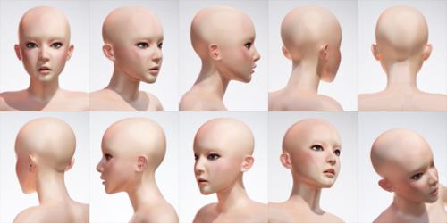Female Head Model