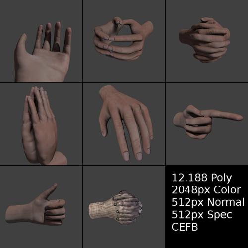 Hands (Textured + Simple Rig)