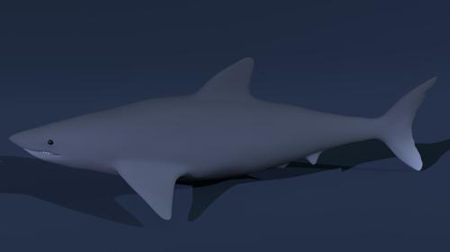 Quality Blender Shark