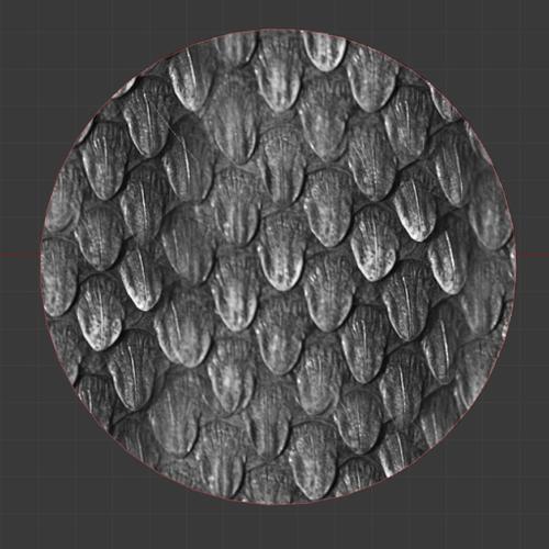 Reptile Skin Brush
