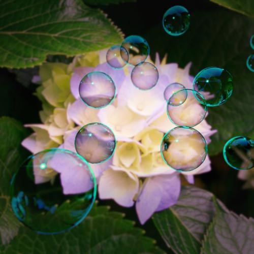 Realistic Bubbles!!!