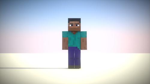 Steve Rig 1.0