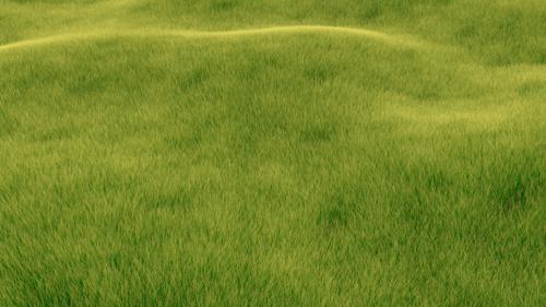Photorealistic Grass