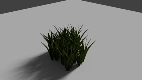 Simply Grass