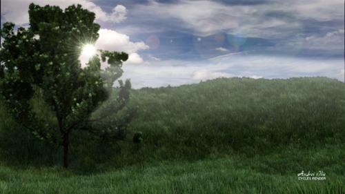 Landscape