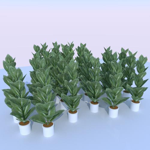 Low-poly indoor plant