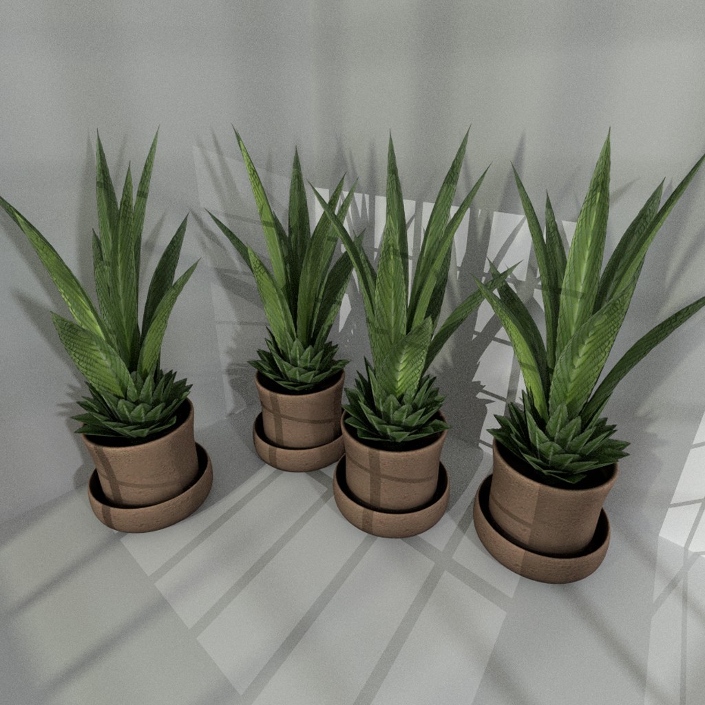 Low-poly indoor plant 3