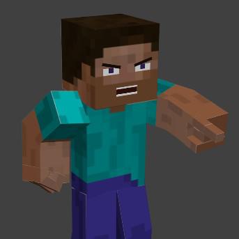 Steve Rig V2.0