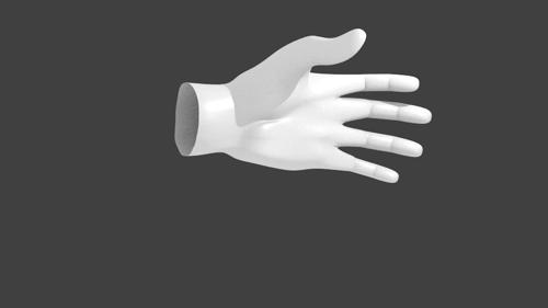 The hand