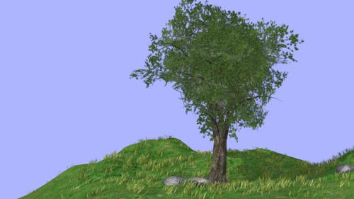The tree