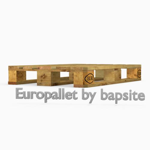 europallet version 2