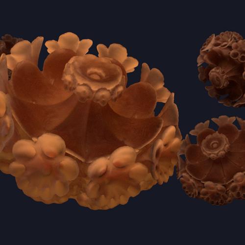 Fractal Flower