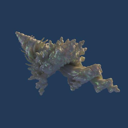 Spiral Shell