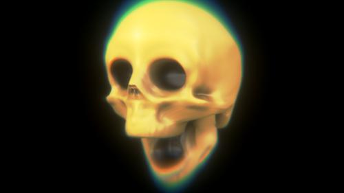 Skull