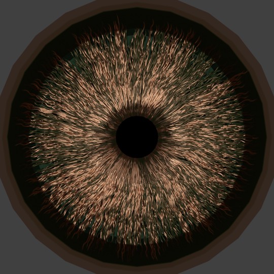 Model Generated Iris Texture