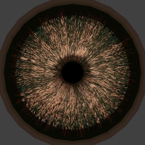 Model Generated Iris Texture