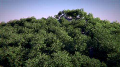 Realistic Forest with Cycles