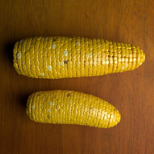 Corn (Maize)