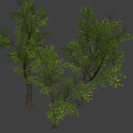 3 Low Poly Trees