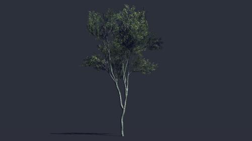 Low Poly Tree Next Gen