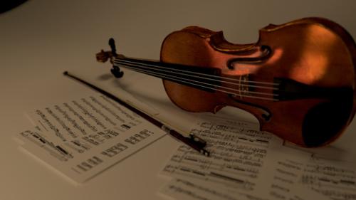 Violin