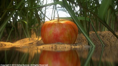Simply a Apple