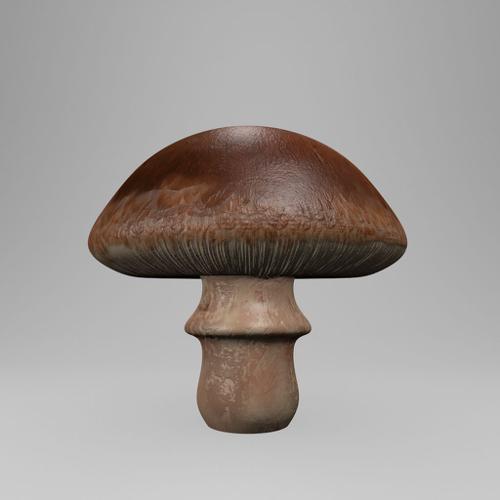Mushroom