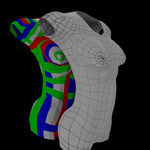 Female Torso