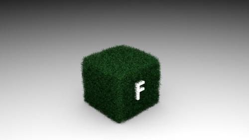 Grass