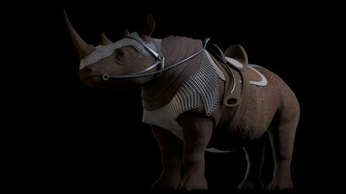 Rhino