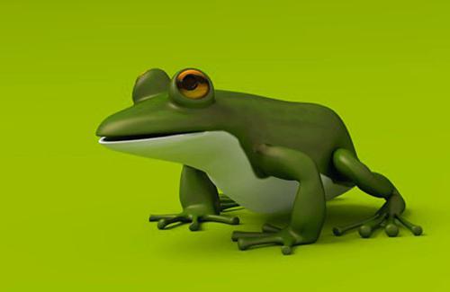 Grenouille, Frog
