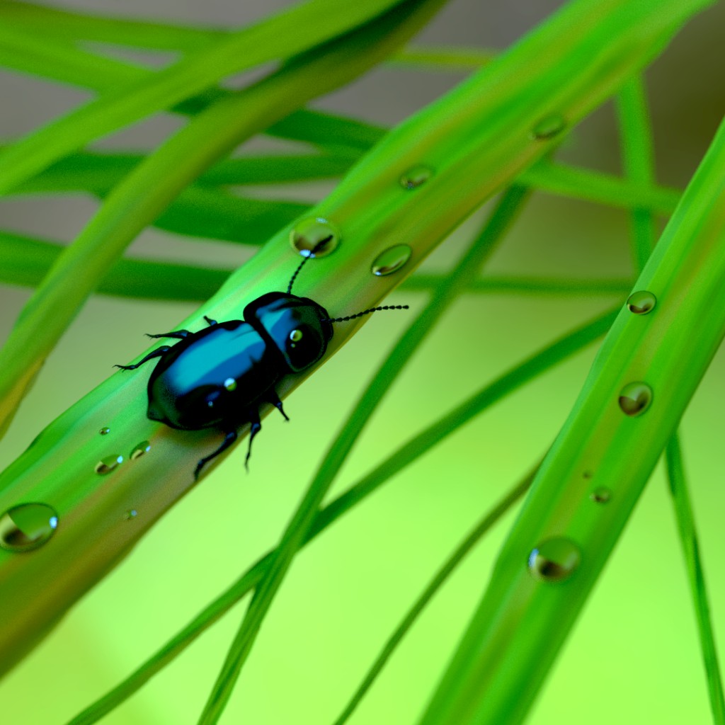 blue insect