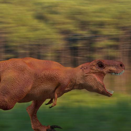 Tyranosaurus Rex