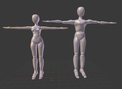 Human Basic Shapes- male and female basemesh