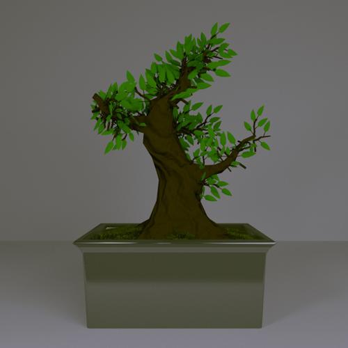 Bonsai tree