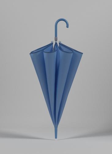 Folded Umbrella