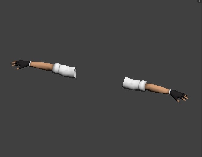 FPS Hands Rigged