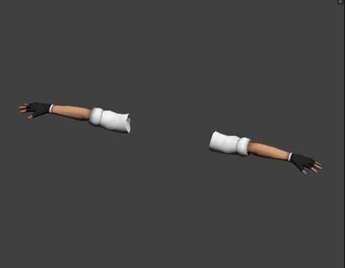 FPS Hands Rigged