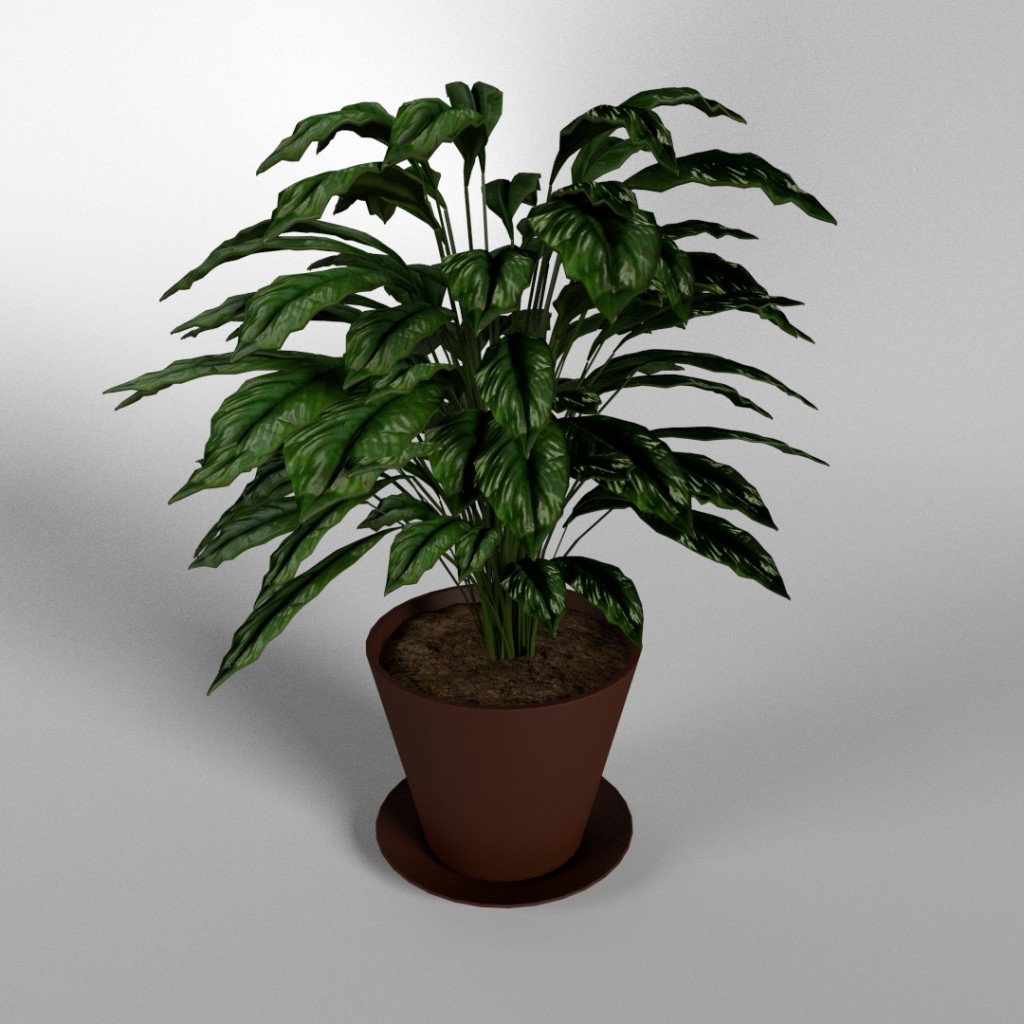 Living room plant