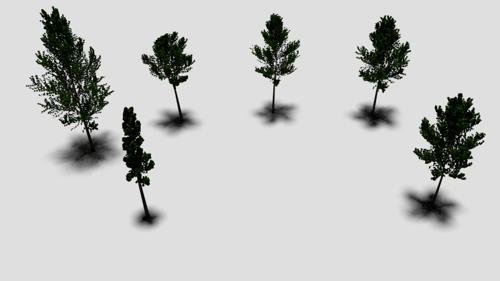 Trees
