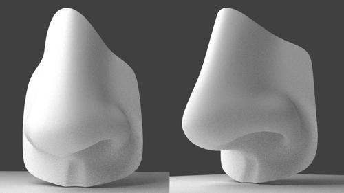 Nose Modeling