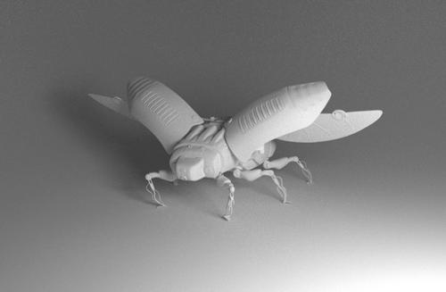 Lady Bug Robot