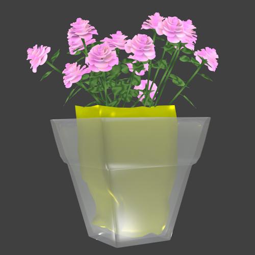 Roses in modern vase