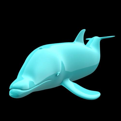 Bottlenose Dolphin