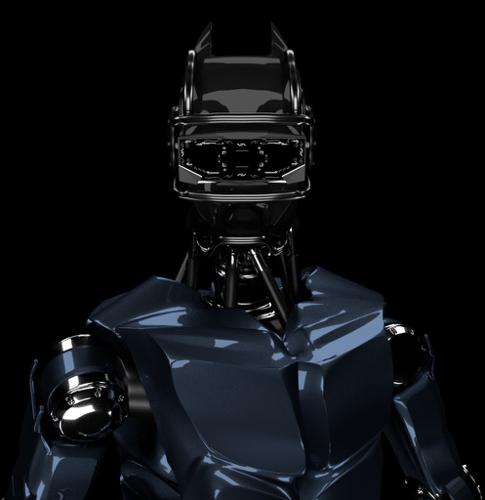Robot