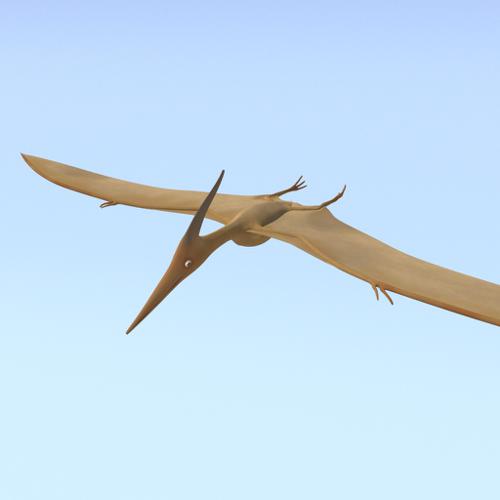Cartoon Pterasaur
