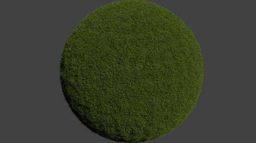 Ball of Grass