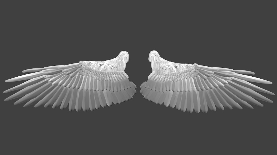 Wings