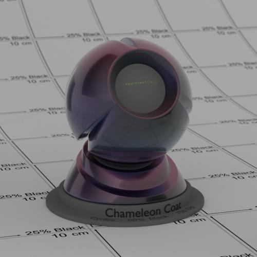 Chameleon Coat