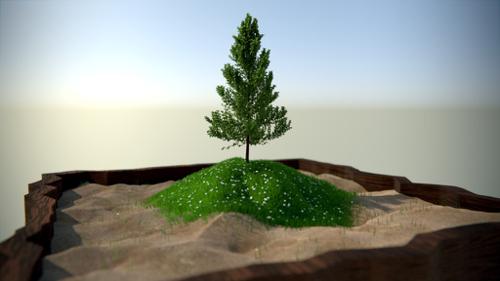 Zen Garden